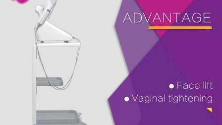 Apriete vaginal de Hifu de la máquina del transductor de ajuste de la cara del efecto rápido